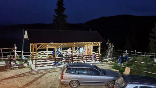 Hostal Pensiunea Patricia, V�rful Lui Roman