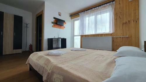 Hostal Pensiunea Patricia, V�rful Lui Roman