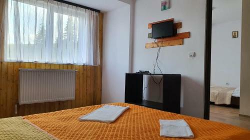 Hostal Pensiunea Patricia, V�rful Lui Roman
