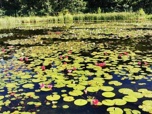 Kellerst�ckl Im Uhudlerland