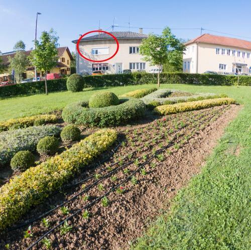 Apartman Vi?nja