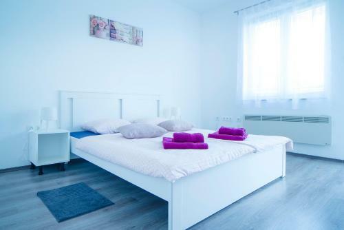 Apartman Vi?nja