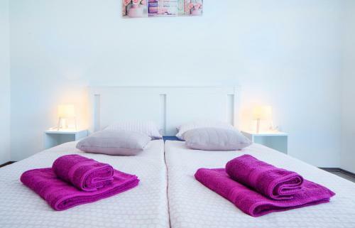 Apartman Vi?nja