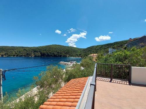 Apartments Valun