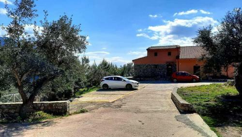 Menina Apartments 1