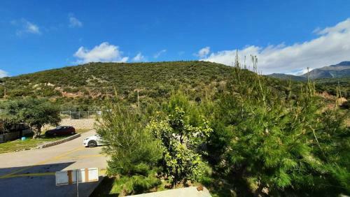 Menina Apartments 1