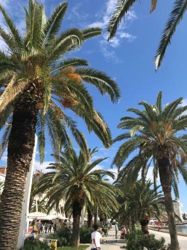 Apartamentos Villa Urbi Et Orbi