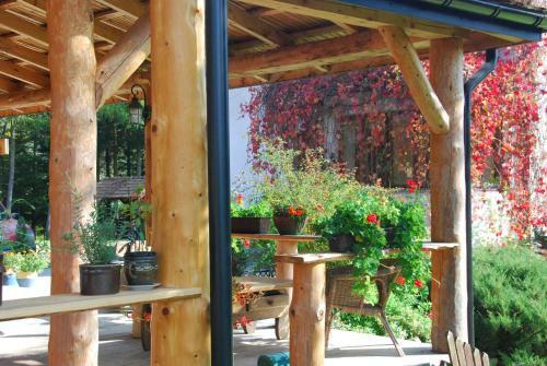 Bed & Breakfast Siedlisko Zakucie