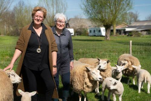 Bed & Breakfast Hoeve De Mertel