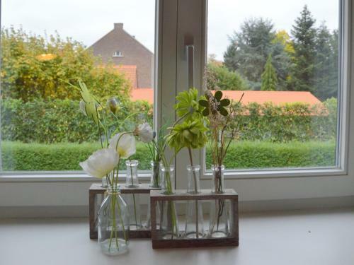 Cozy Charming Apartment In Roosteren By The Lake