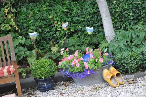 B&B De Oude Walnoot