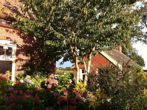 Bed & Breakfast De Bolderie