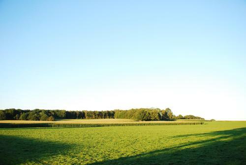 Bed & Breakfast De Bolderie