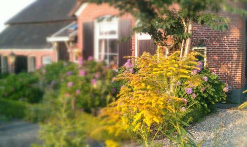 Bed & Breakfast De Bolderie