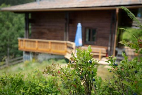 Ferienhaus Almh�tte Gut M�hlreit
