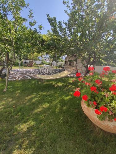 Apartamento Armeno Studios