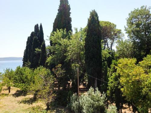 Apartamentos Palmaja