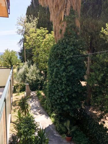 Apartamentos Palmaja