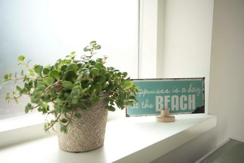 Apartamento The Bond Studio Free Parking