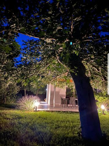 Villa Holiday House Lucia