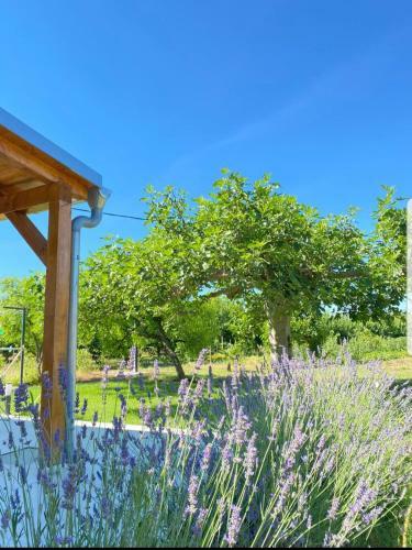Villa Holiday House Lucia