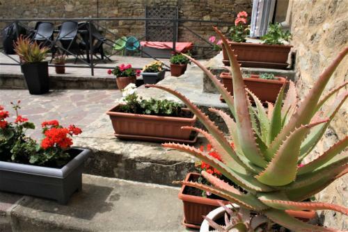 Apartamento Casa Antonio, Chianni