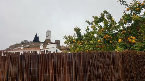 Casa Tia Anica