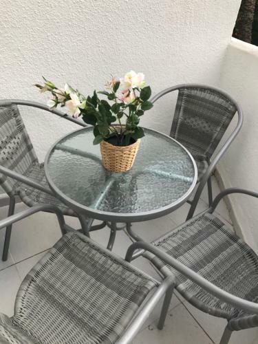 Apartamento Oasis Paradise