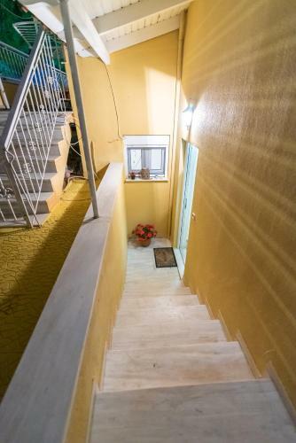 Pine Trees Apartment