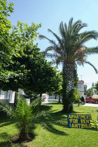 Apartamento Antonia Rooms