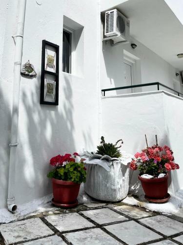 Apartamento Antonia Rooms