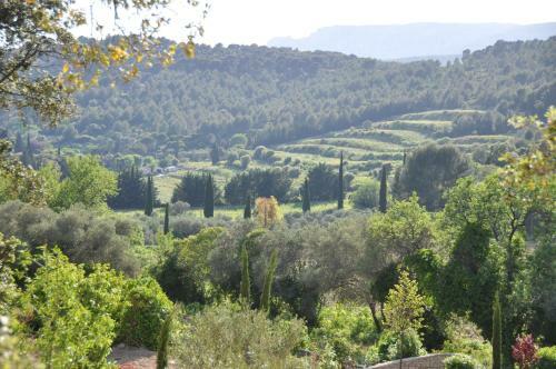 Bed & Breakfast Le Mas Du Perthus