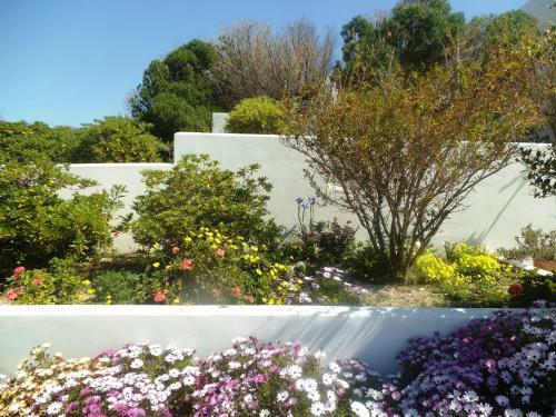 Majestic Blue - House With Garden!