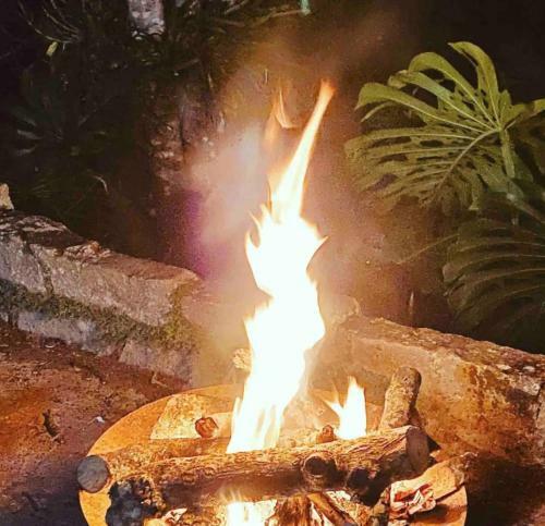 Teres�polis Experi�ncia �nica Dona Felicidade