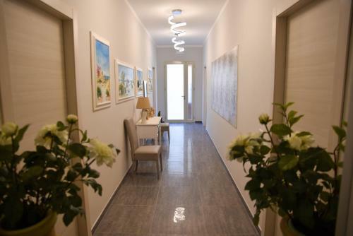 Hostal Dolcelina Home