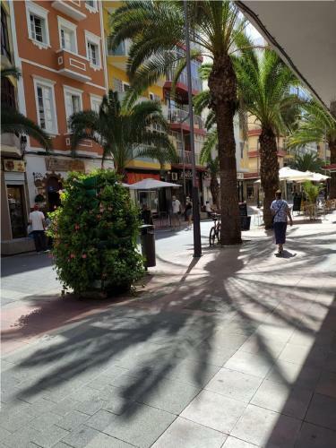 1 B Apartamento Playa Las Palmas