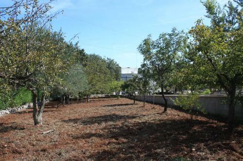 Villa Trullo Aniello