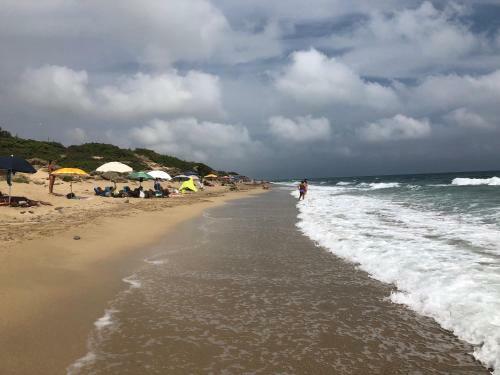 Ficomoro Surf House