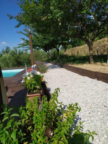 Apartamento Agriturismo Terre Verae