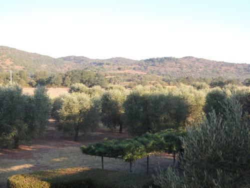 Villa Superb Cottage In Tuscany's Maremma