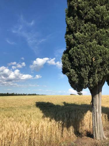Villa Superb Cottage In Tuscany's Maremma