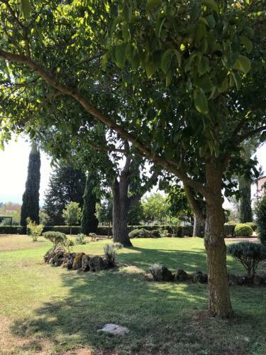 Villa Superb Cottage In Tuscany's Maremma