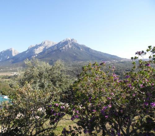 Agroturismo Villa L'oleandro