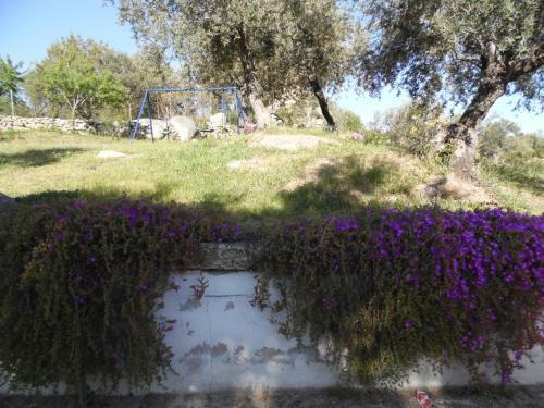 Agroturismo Villa L'oleandro