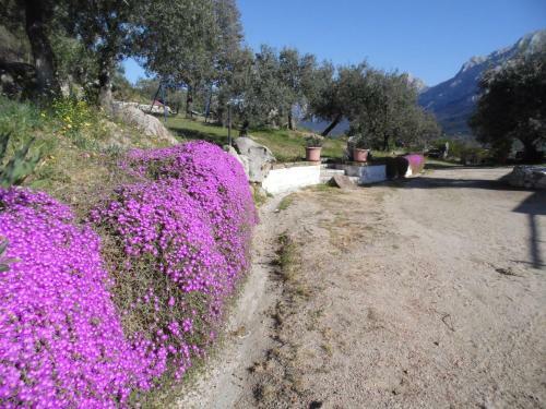 Agroturismo Villa L'oleandro