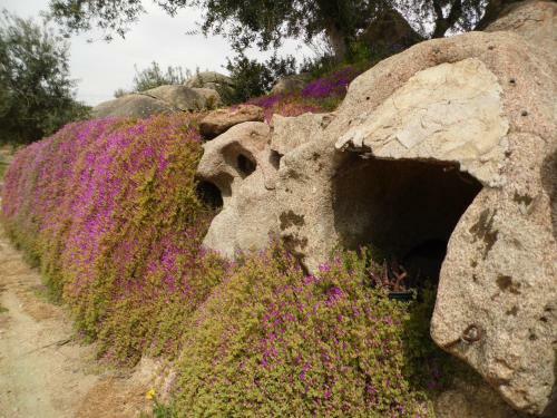 Agroturismo Villa L'oleandro