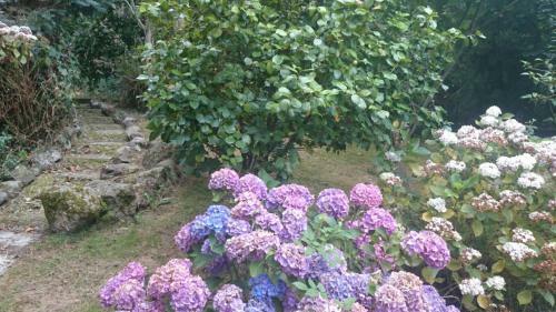 Hotel B&B El Jard�n De Aes