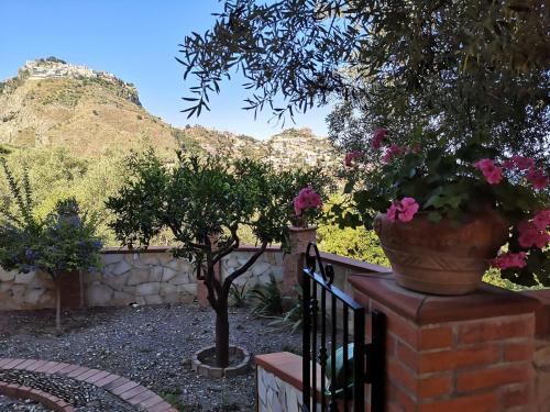 Villa Chris