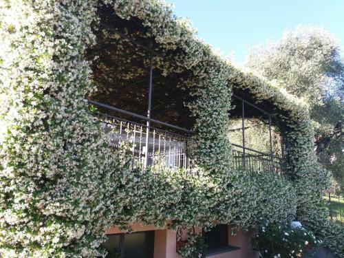 Apartamento Casa Intignano