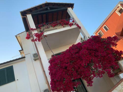 Apartamento Appartamenti Supramonte